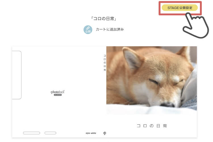 STAGE公開の手順